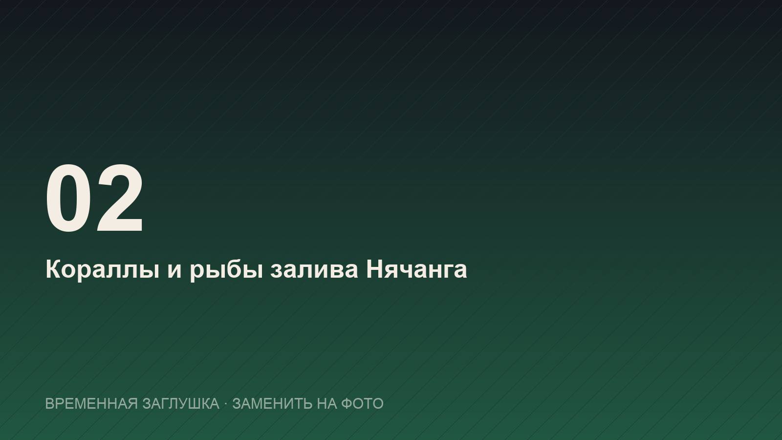 Кораллы и рыбы залива Нячанга