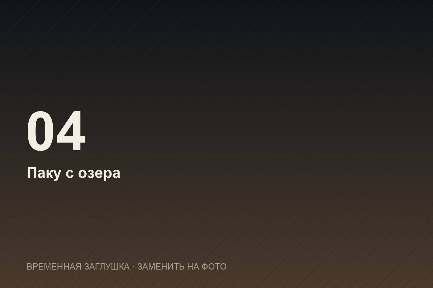 Паку с озера под Нячангом