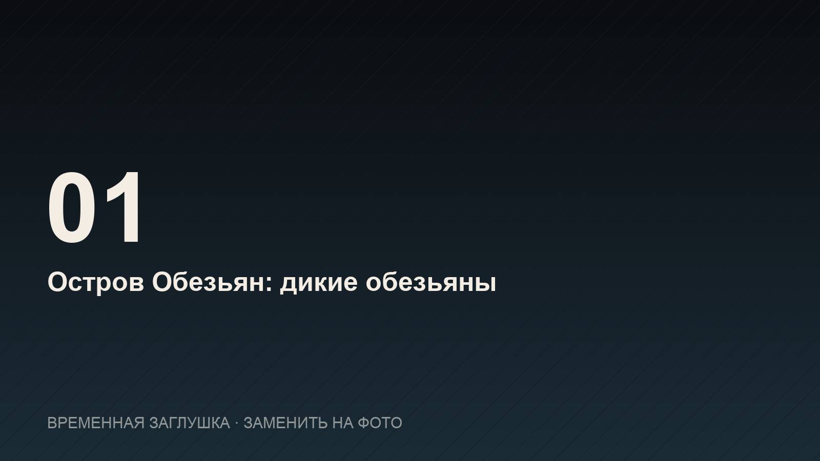 Дикие обезьяны на острове Обезьян в Нячанге